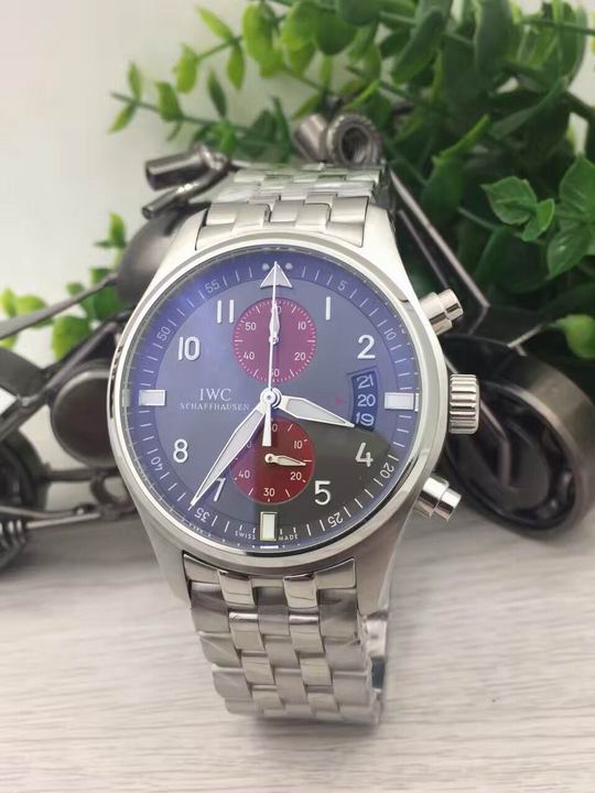 IWC watch man-496